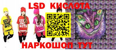 индика Гусев