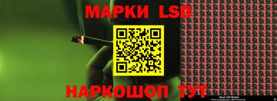 индика Гусев