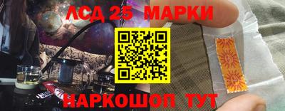 индика Гусев
