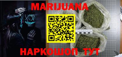 индика Гусев