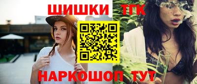 индика Гусев