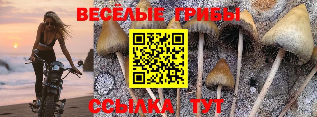 Галлюциногенные грибы MAGIC MUSHROOMS Моздок