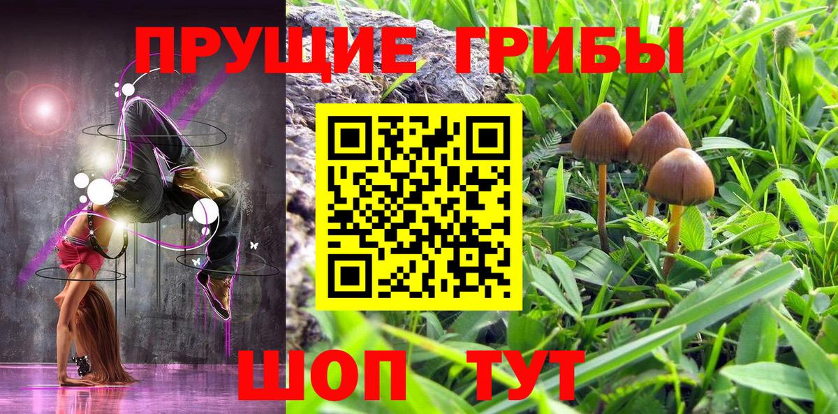 Псилоцибиновые грибы Magic Shrooms  Вход с VPN  где купить наркоту  Моздок 